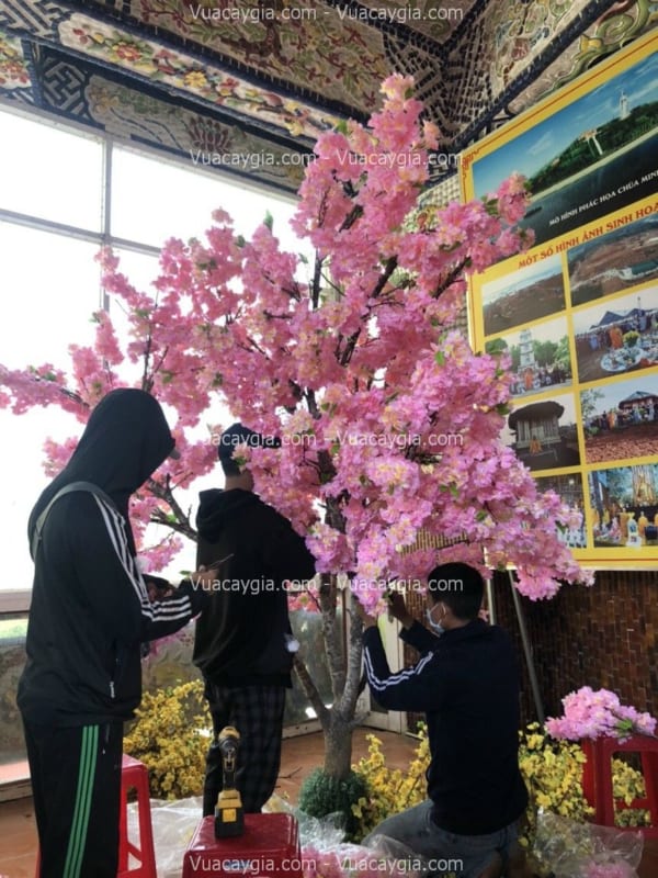 cây hoa anh đào giả tại nha trang