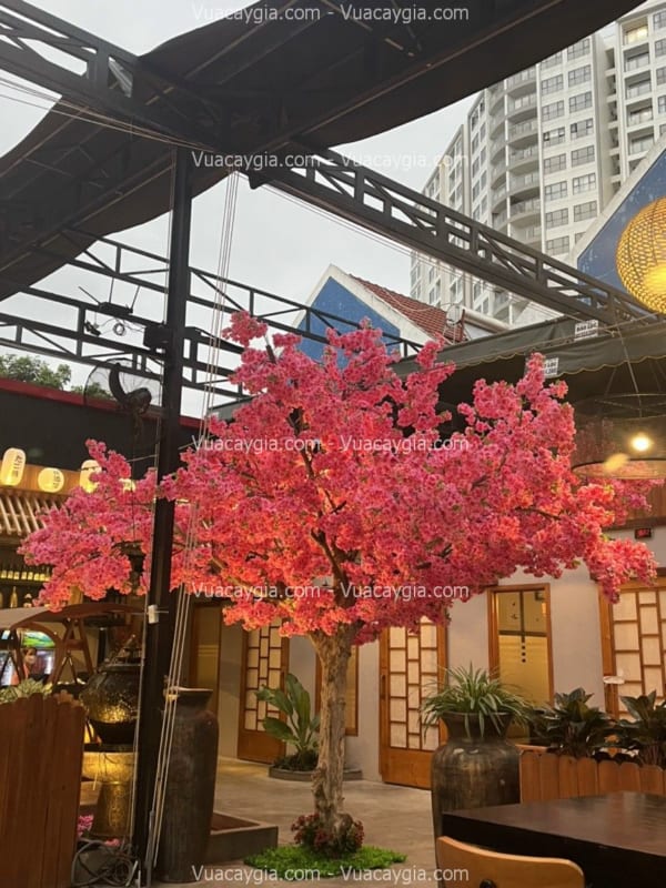 cây hoa anh đào giả trang trí quán trà sữa cây hoa anh đào giả trang trí quán trà sữa