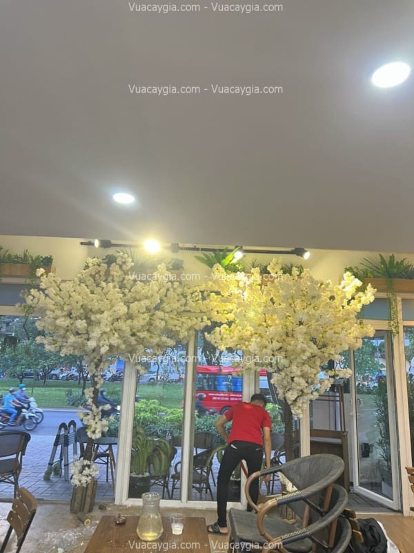 cây hoa anh đào trắng giả hcm