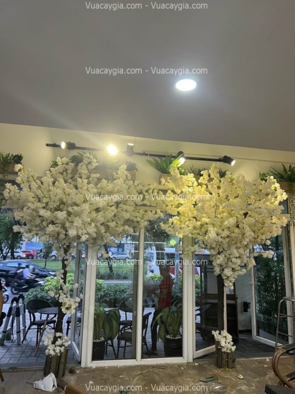 cây hoa anh đào trắng giả hcm