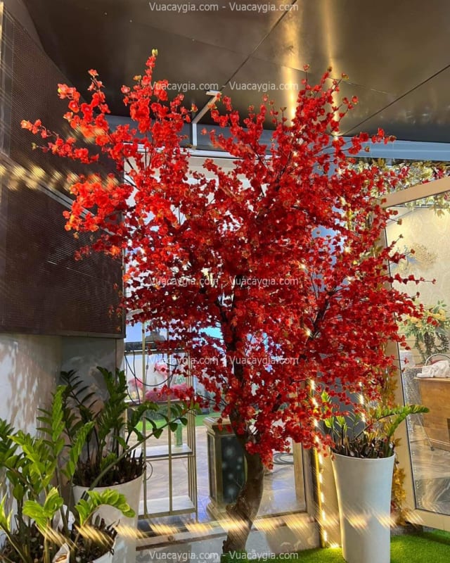 cây hoa anh đào giả hcm