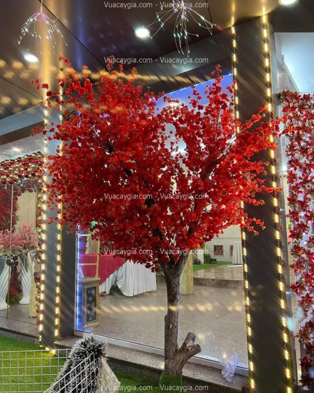 cây hoa anh đào giả hcm