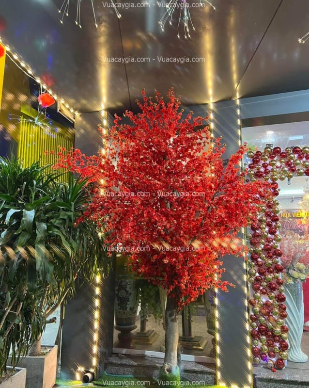 cây hoa anh đào giả hcm