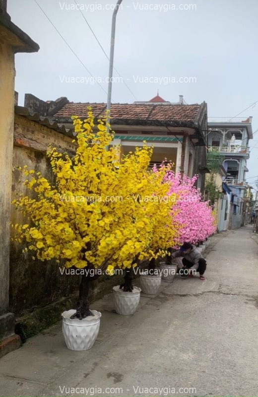 cây hoa mai giả cao 1m8
