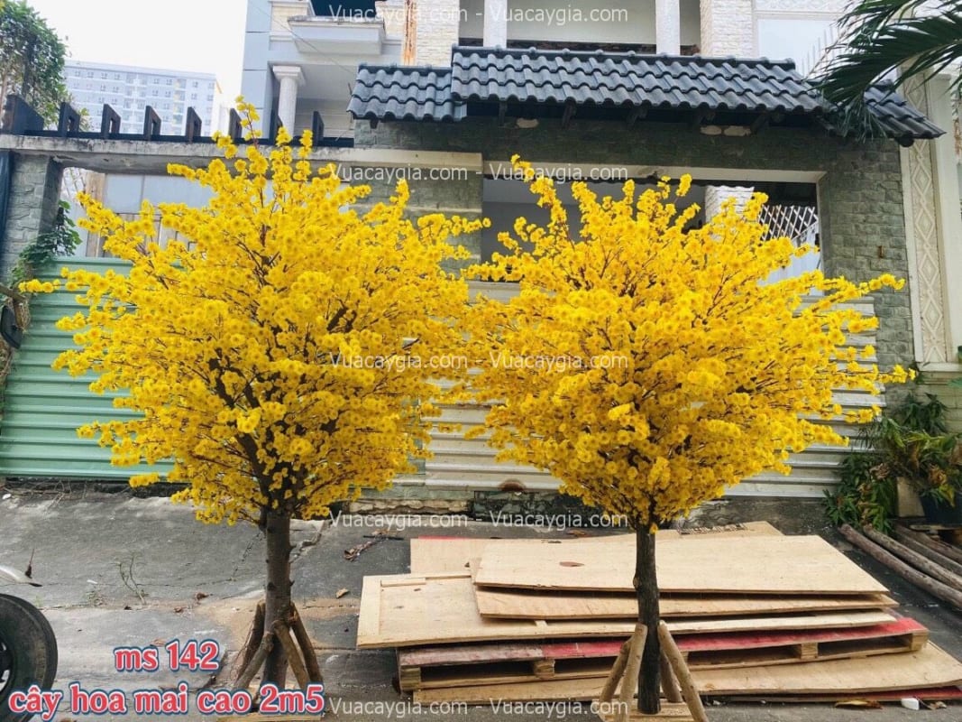 cây hoa mai giả cao 2m5