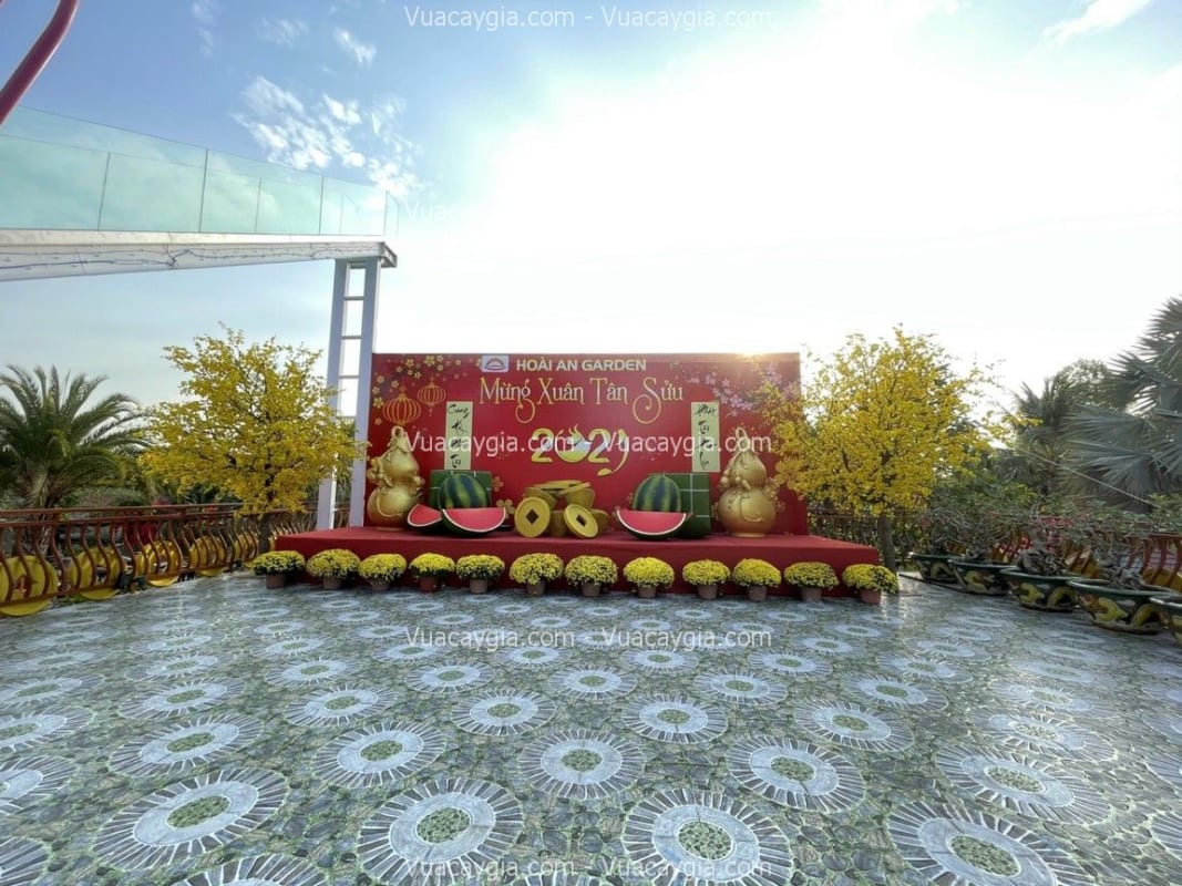 cây hoa mai giả decor sự kiện