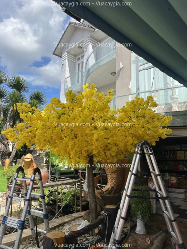 cây hoa mai vàng giả đẹp như thật