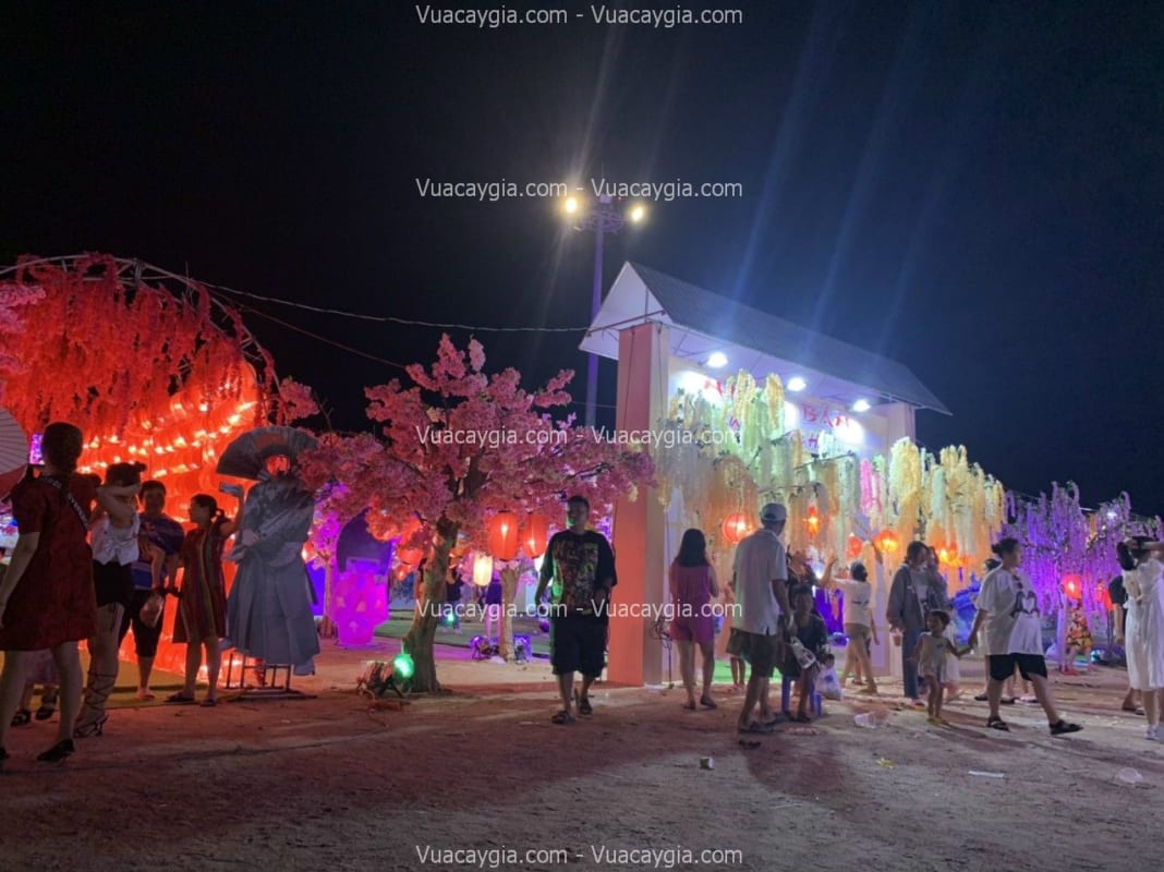 cây hoa tử đằng giả sự kiện