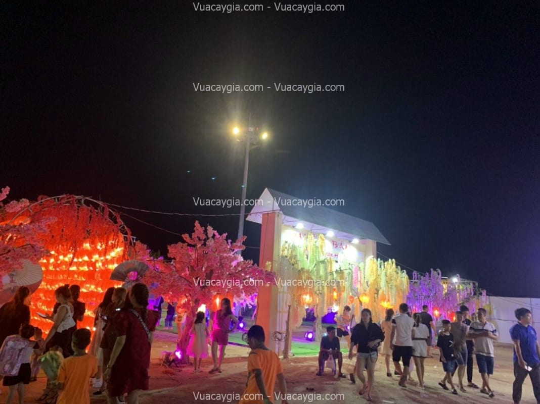 cây hoa tử đằng giả sự kiện