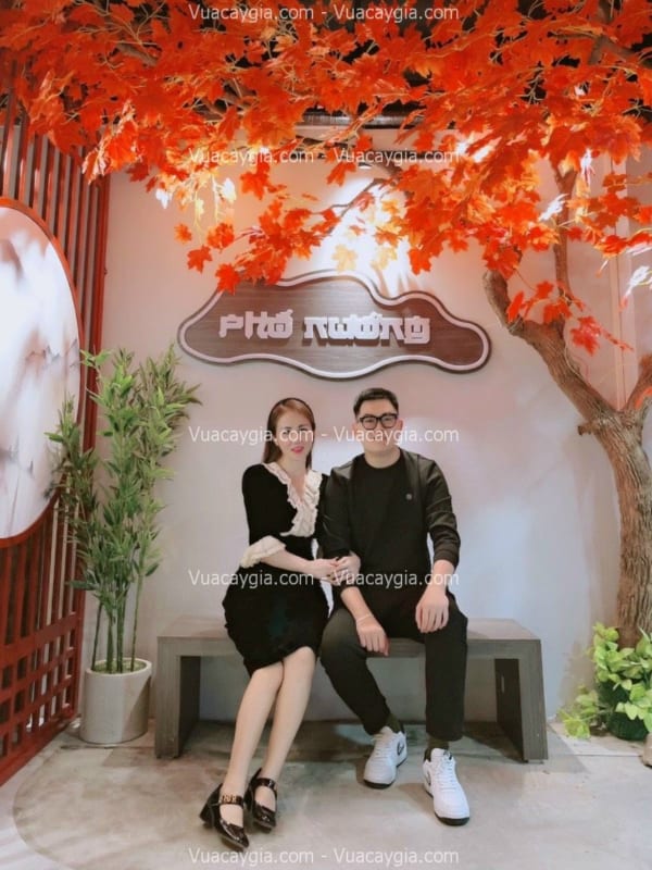 cây phong giả tại thái nguyên