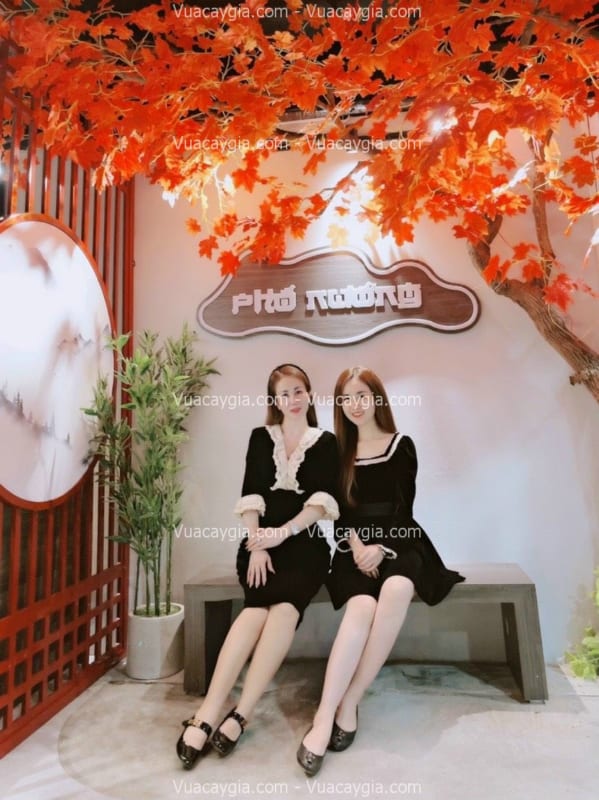 cây phong giả tại thái nguyên