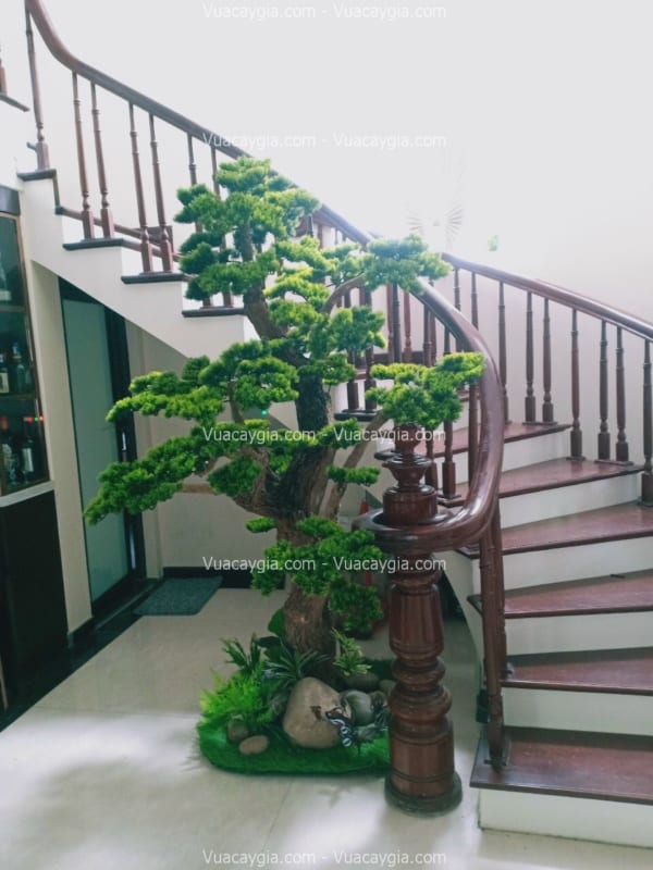 cây tùng giả trang trí cầu thang
