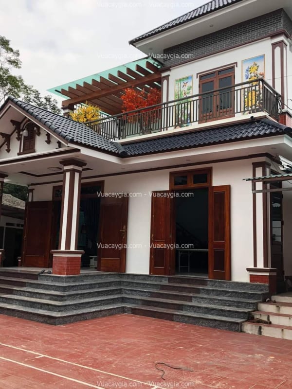 cho thuê cây giả ngày tết
