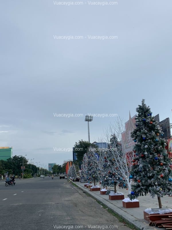 decor cây noel