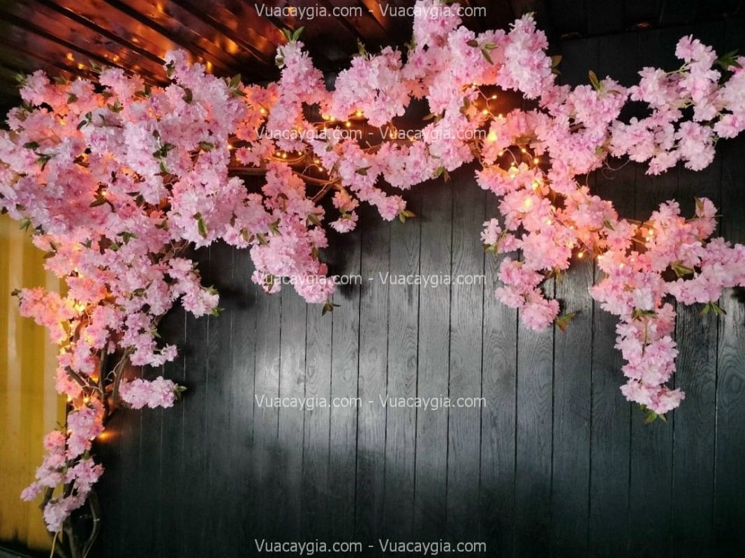 decor quán tại hà nội