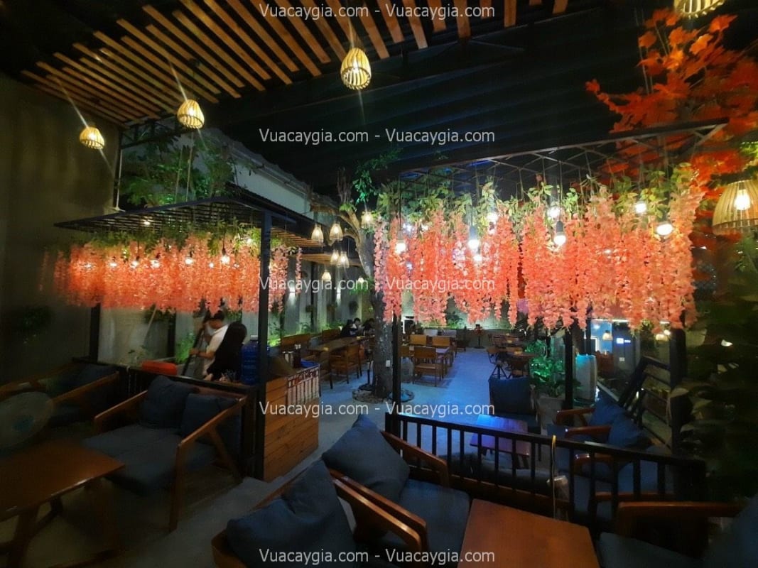 giàn hoa tử đằng giả hà nội