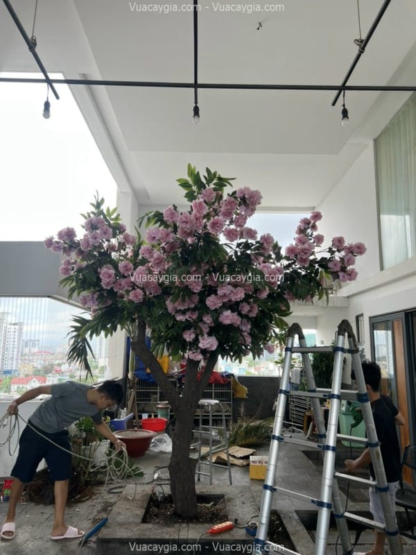 Cây cổ thụ hoa mẫu đơn giả