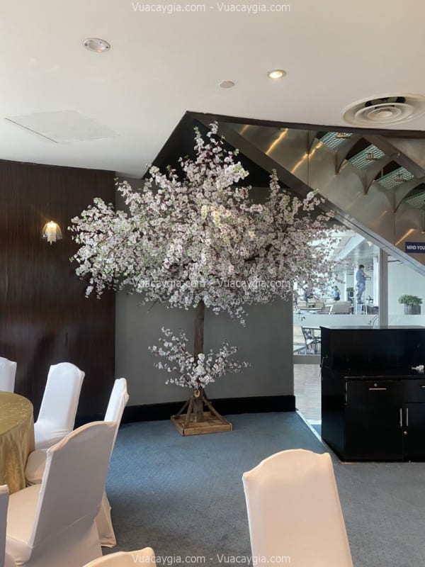 Cây đào giả hoa trắng Cây đào giả hoa trắng