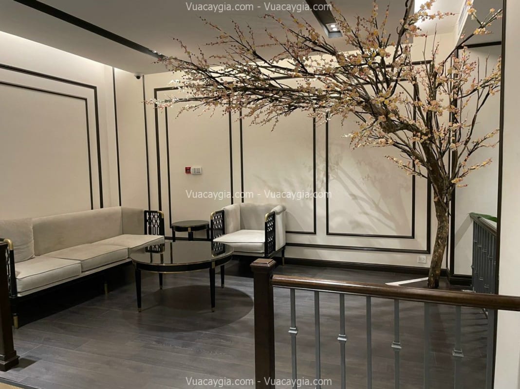 Cây hoa anh đào decor Hà Nội