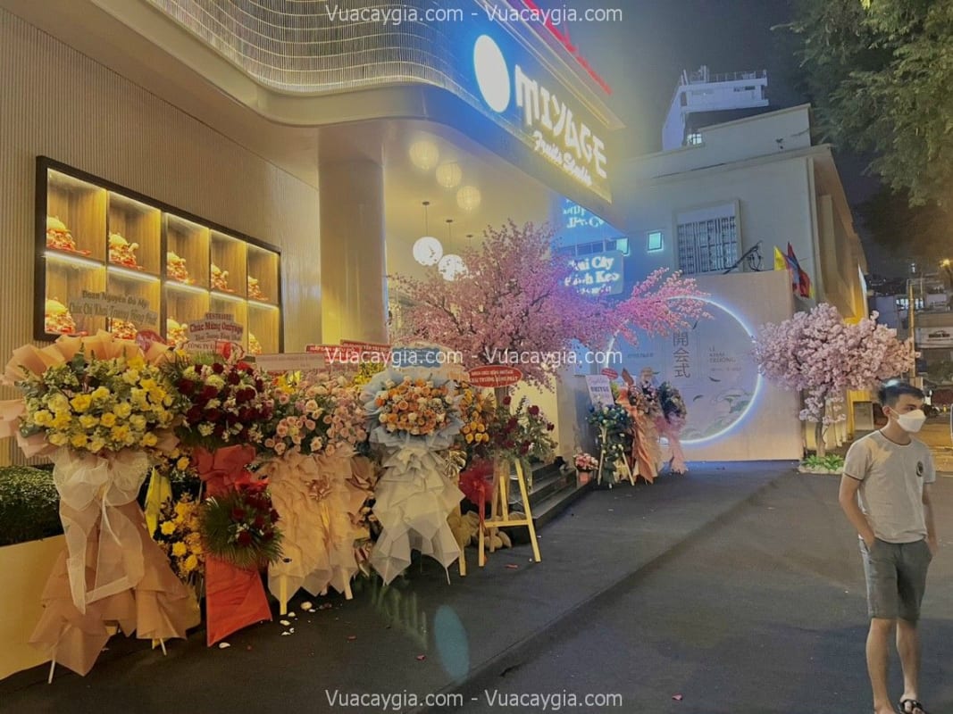 Cây hoa anh đào giả quận 11 HCM Cây hoa anh đào giả quận 11 HCM