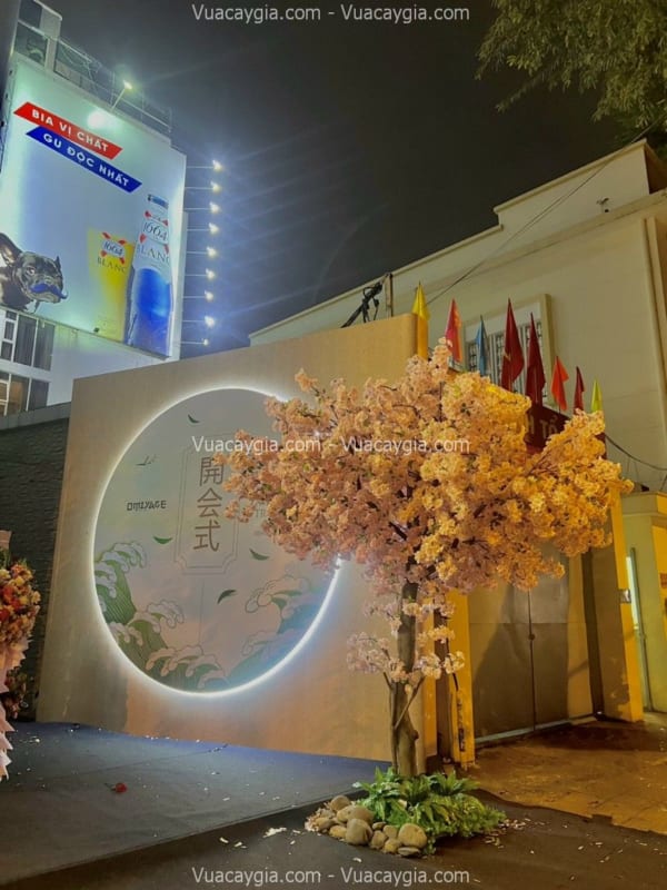 Cây hoa anh đào giả quận 11 HCM Cây hoa anh đào giả quận 11 HCM