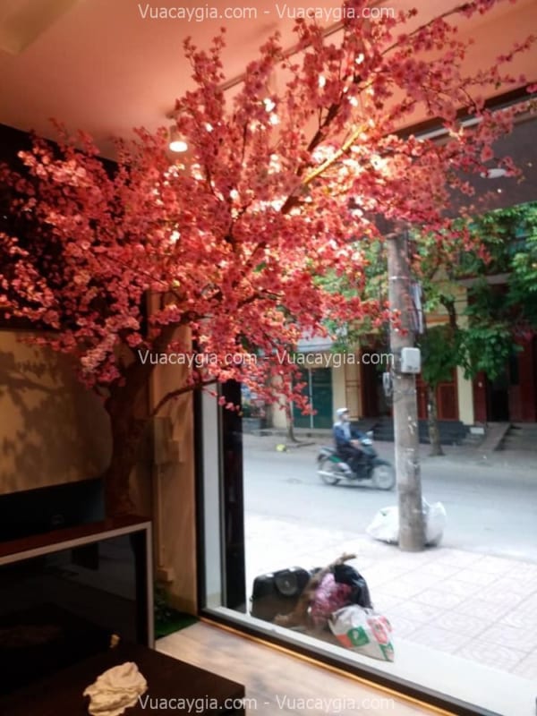Cây Hoa Anh Đào Giả Quận 9 HCM Cây Hoa Anh Đào Giả Quận 9 HCM