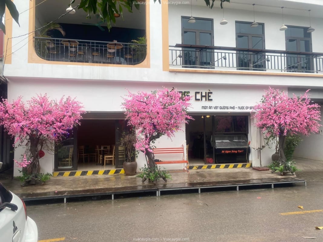 Cây hoa anh đào giả tại Hải Dương