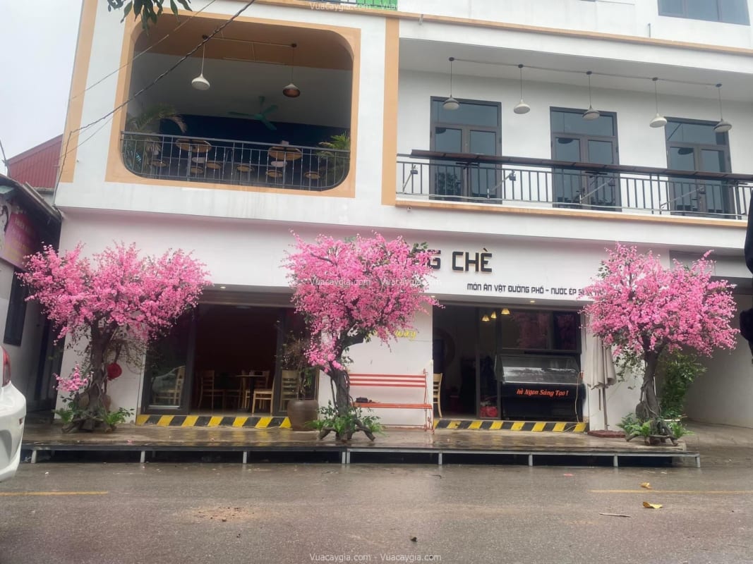 Cây hoa anh đào giả tại Hải Dương
