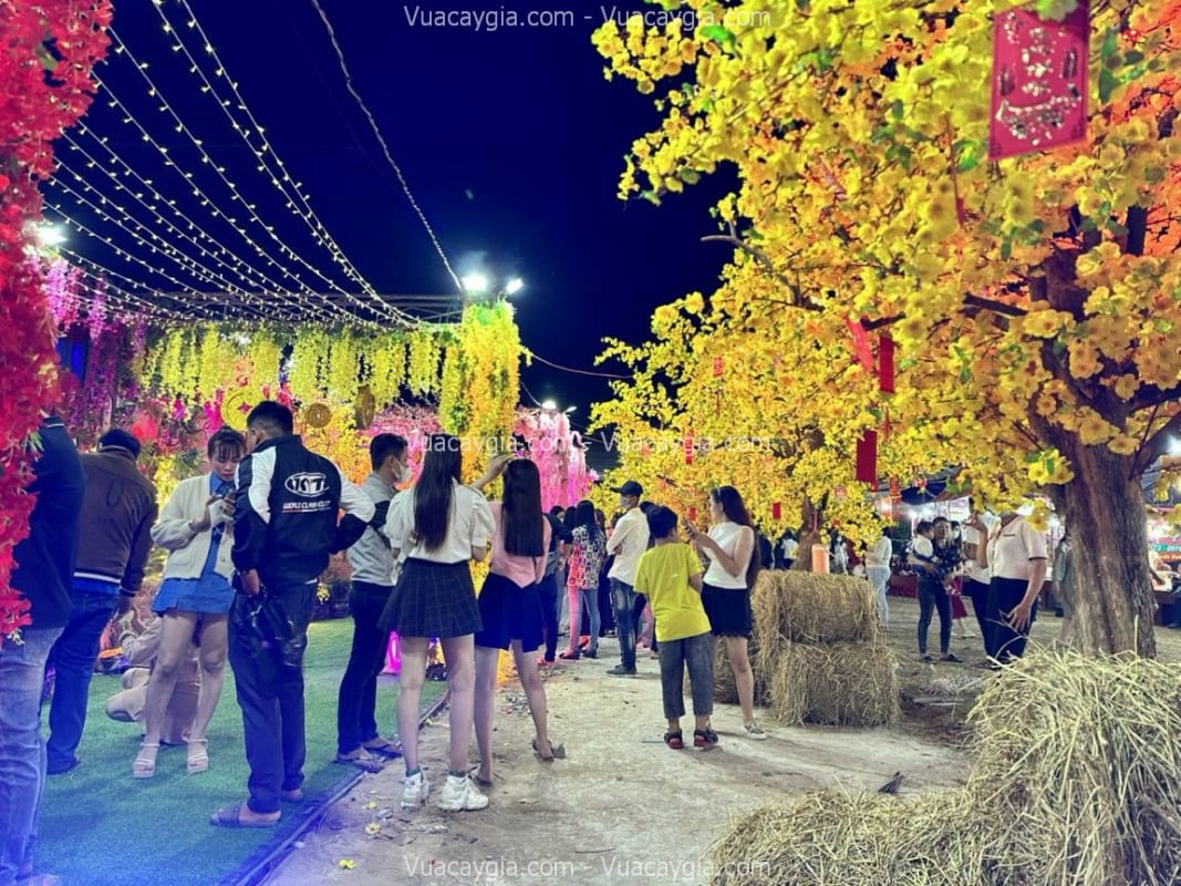 Cây hoa mai giả hoa vàng