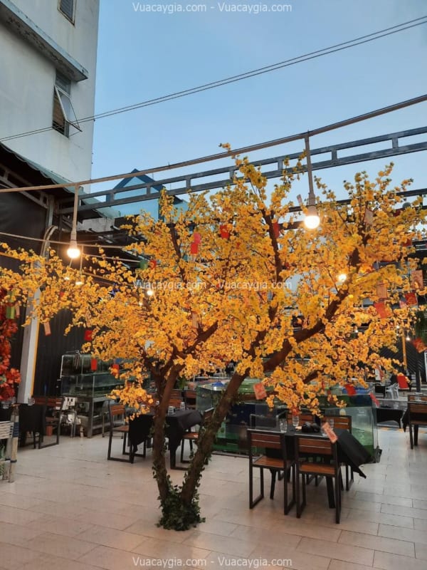 Cây Hoa Mai Vàng Giả Quận 1 HCM