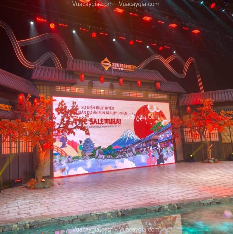 Cây Phong Giả Lá Đỏ Hà Nội