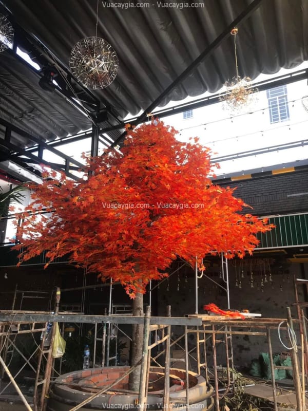 Cây phong giả quận 2 HCM