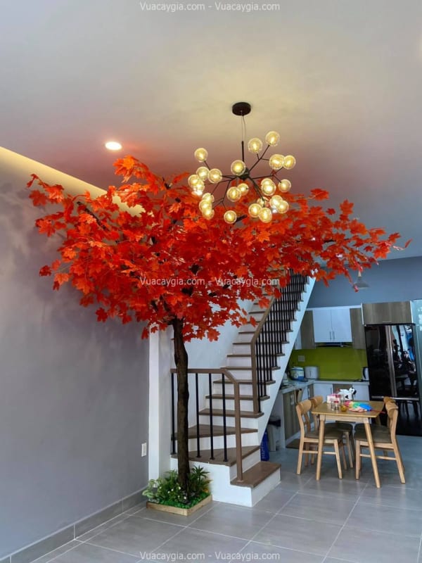 Cây phong giả quận 2 HCM