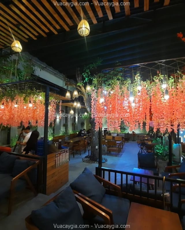 Hoa tử đằng giả Hà Nội