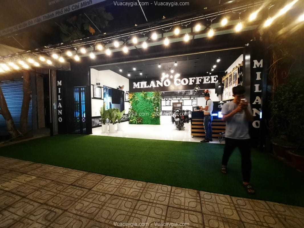 Thảm cỏ giả trải sàn