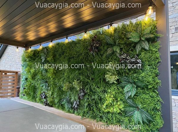Tường cây giả cần thơ Tường cây giả cần thơ