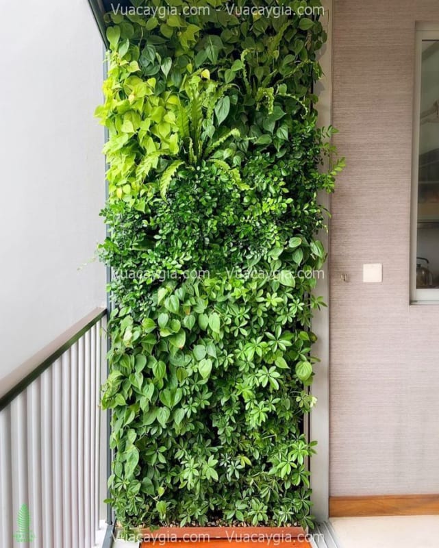 vách tường trang trí cỏ nhân tạo